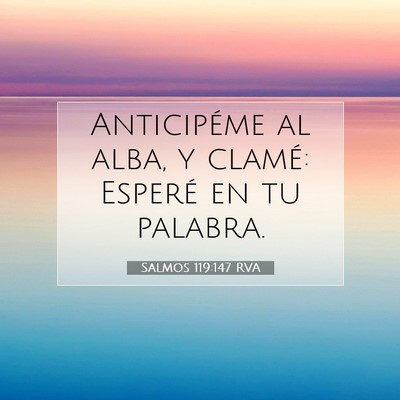 Picture 07 - Salmos 119:147 RVA - Anticipéme al alba, y clamé: Esperé en tu - Bible Verse Picture