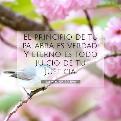 Picture 07 - Salmos 119:160 RVA - El principio de tu palabra es verdad; Y eterno es - Bible Verse Picture
