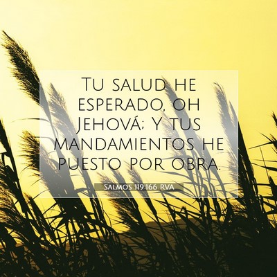Picture 07 - Salmos 119:166 RVA - Tu salud he esperado, oh Jehová; Y tus - Bible Verse Picture
