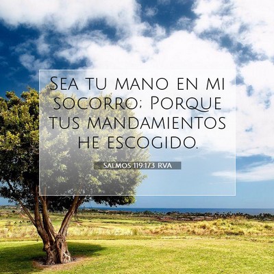Picture 07 - Salmos 119:173 RVA - Sea tu mano en mi socorro; Porque tus - Bible Verse Picture