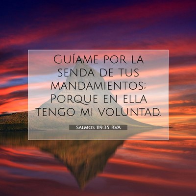 Picture 07 - Salmos 119:35 RVA - Guíame por la senda de tus mandamientos; Porque - Bible Verse Picture