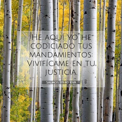 Picture 07 - Salmos 119:40 RVA - He aquí yo he codiciado tus mandamientos: - Bible Verse Picture