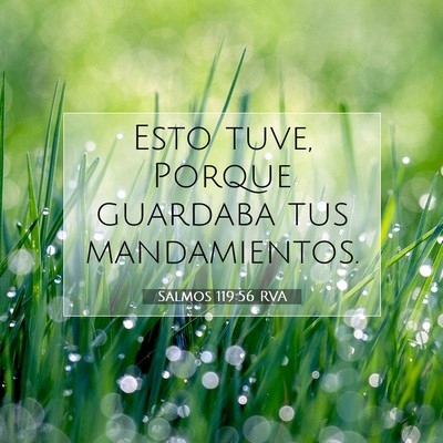Picture 07 - Salmos 119:56 RVA - Esto tuve, Porque guardaba tus - Bible Verse Picture