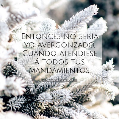 Picture 07 - Salmos 119:6 RVA - Entonces no sería yo avergonzado, Cuando - Bible Verse Picture