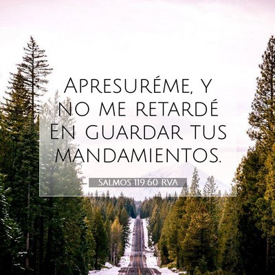 Picture 07 - Salmos 119:60 RVA - Apresuréme, y no me retardé En guardar tus - Bible Verse Picture