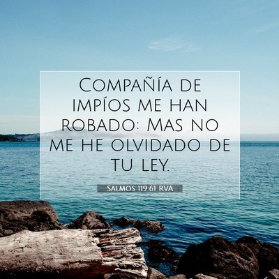 Picture 07 - Salmos 119:61 RVA - Compañía de impíos me han robado: Mas no me he - Bible Verse Picture