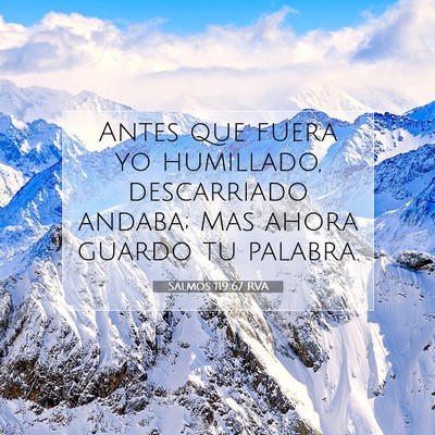 Picture 07 - Salmos 119:67 RVA - Antes que fuera yo humillado, descarriado andaba; - Bible Verse Picture