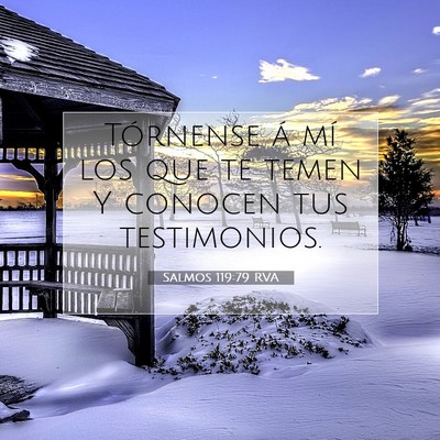 Picture 07 - Salmos 119:79 RVA - Tórnense á mí los que te temen Y conocen tus - Bible Verse Picture