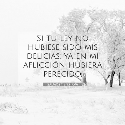 Picture 07 - Salmos 119:92 RVA - Si tu ley no hubiese sido mis delicias, Ya en mi - Bible Verse Picture