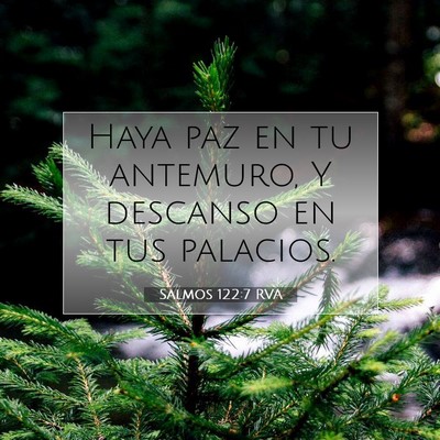 Picture 07 - Salmos 122:7 RVA - Haya paz en tu antemuro, Y descanso en tus - Bible Verse Picture