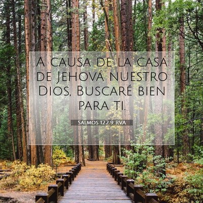 Picture 07 - Salmos 122:9 RVA - A causa de la casa de Jehová nuestro Dios, - Bible Verse Picture