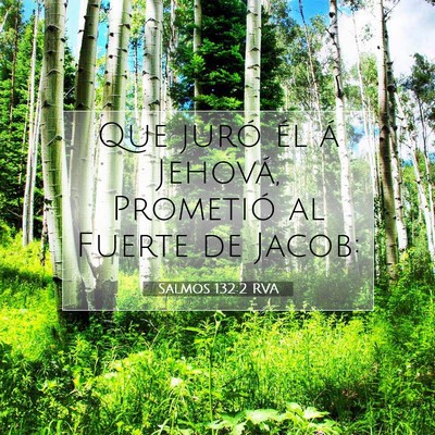 Picture 07 - Salmos 132:2 RVA - Que juró él á Jehová, Prometió al Fuerte de - Bible Verse Picture