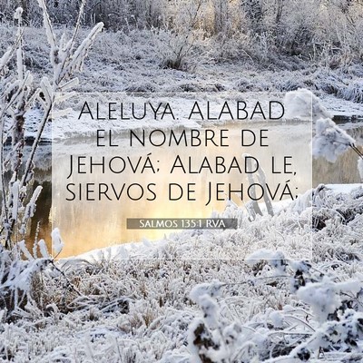 Picture 07 - Salmos 135:1 RVA - Aleluya. ALABAD el nombre de Jehová; Alabad le, - Bible Verse Picture