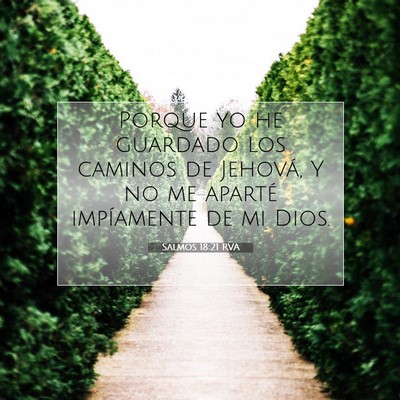 Picture 07 - Salmos 18:21 RVA - Porque yo he guardado los caminos de Jehová, Y - Bible Verse Picture