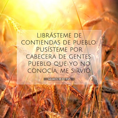 Picture 07 - Salmos 18:43 RVA - Librásteme de contiendas de pueblo: Pusísteme - Bible Verse Picture