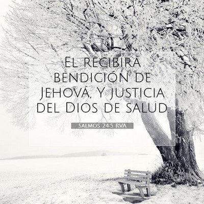 Picture 07 - Salmos 24:5 RVA - El recibirá bendición de Jehová, Y justicia - Bible Verse Picture