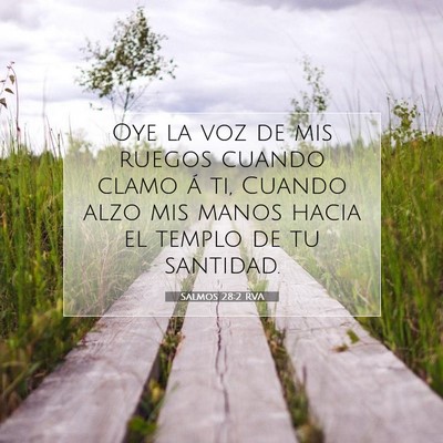 Picture 07 - Salmos 28:2 RVA - Oye la voz de mis ruegos cuando clamo á ti, - Bible Verse Picture