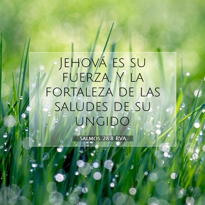 Picture 07 - Salmos 28:8 RVA - Jehová es su fuerza, Y la fortaleza de las - Bible Verse Picture