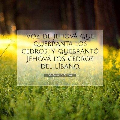 Picture 07 - Salmos 29:5 RVA - Voz de Jehová que quebranta los cedros; Y - Bible Verse Picture