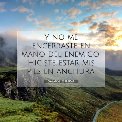 Picture 07 - Salmos 31:8 RVA - Y no me encerraste en mano del enemigo; Hiciste - Bible Verse Picture