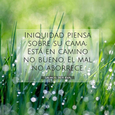 Picture 07 - Salmos 36:4 RVA - Iniquidad piensa sobre su cama; Está en camino - Bible Verse Picture