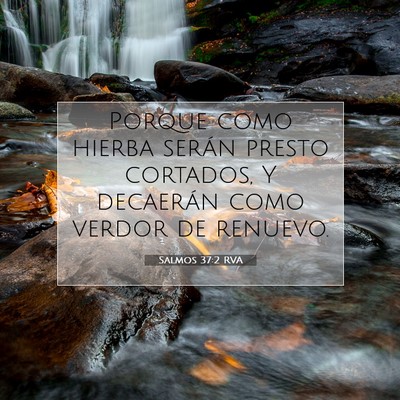 Picture 07 - Salmos 37:2 RVA - Porque como hierba serán presto cortados, Y - Bible Verse Picture
