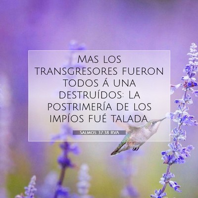 Picture 07 - Salmos 37:38 RVA - Mas los transgresores fueron todos á una - Bible Verse Picture