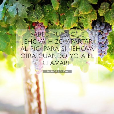 Picture 07 - Salmos 4:3 RVA - Sabed pues, que Jehová hizo apartar al pío para - Bible Verse Picture