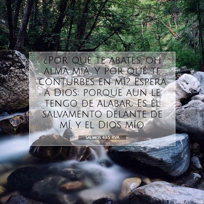 Picture 07 - Salmos 43:5 RVA - ¿Por qué te abates, oh alma mía, Y por qué te - Bible Verse Picture
