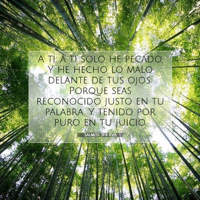 Picture 07 - Salmos 51:4 RVA - A ti, á ti solo he pecado, Y he hecho lo malo - Bible Verse Picture