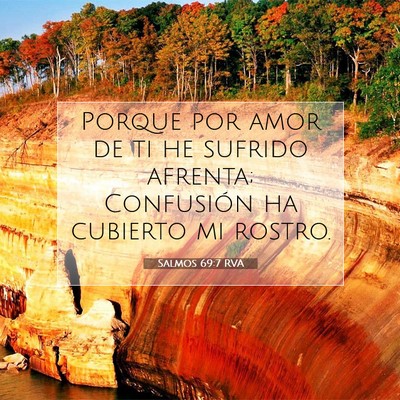Picture 07 - Salmos 69:7 RVA - Porque por amor de ti he sufrido afrenta; - Bible Verse Picture