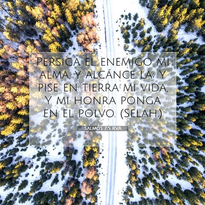 Picture 07 - Salmos 7:5 RVA - Persiga el enemigo mi alma, y alcánce la; Y pise - Bible Verse Picture
