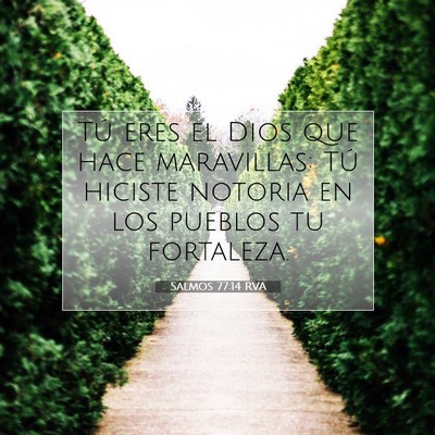 Picture 07 - Salmos 77:14 RVA - Tú eres el Dios que hace maravillas: Tú hiciste - Bible Verse Picture
