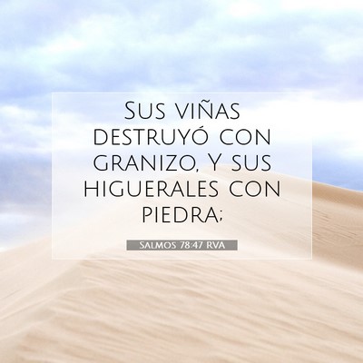 Picture 07 - Salmos 78:47 RVA - Sus viñas destruyó con granizo, Y sus - Bible Verse Picture