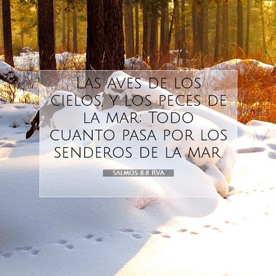 Picture 07 - Salmos 8:8 RVA - Las aves de los cielos, y los peces de la mar; - Bible Verse Picture
