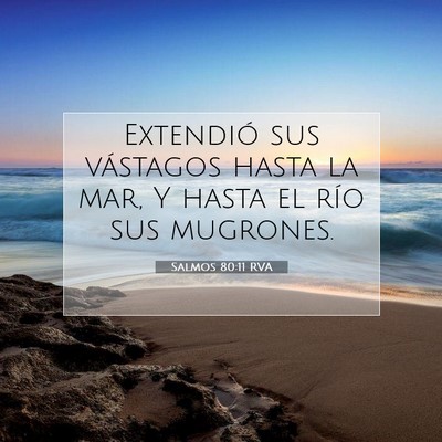 Picture 07 - Salmos 80:11 RVA - Extendió sus vástagos hasta la mar, Y hasta el - Bible Verse Picture