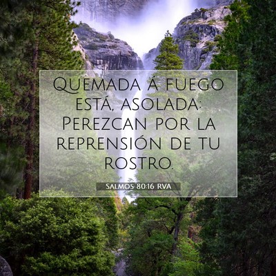Picture 07 - Salmos 80:16 RVA - Quemada á fuego está, asolada: Perezcan por la - Bible Verse Picture