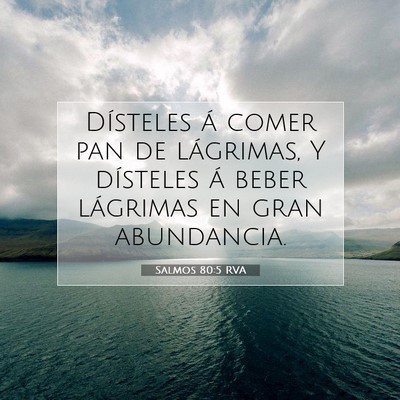 Picture 07 - Salmos 80:5 RVA - Dísteles á comer pan de lágrimas, Y dísteles - Bible Verse Picture