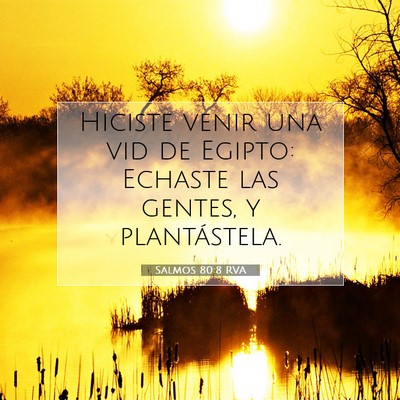 Picture 07 - Salmos 80:8 RVA - Hiciste venir una vid de Egipto: Echaste las - Bible Verse Picture