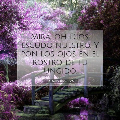 Picture 07 - Salmos 84:9 RVA - Mira, oh Dios, escudo nuestro, Y pon los ojos en - Bible Verse Picture