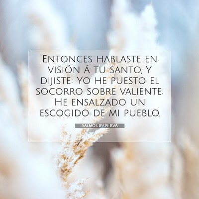 Picture 07 - Salmos 89:19 RVA - Entonces hablaste en visión á tu santo, Y - Bible Verse Picture