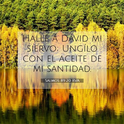 Picture 07 - Salmos 89:20 RVA - Hallé á David mi siervo; Ungílo con el aceite - Bible Verse Picture
