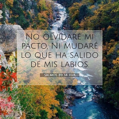 Picture 07 - Salmos 89:34 RVA - No olvidaré mi pacto, Ni mudaré lo que ha - Bible Verse Picture