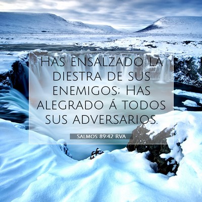 Picture 07 - Salmos 89:42 RVA - Has ensalzado la diestra de sus enemigos; Has - Bible Verse Picture