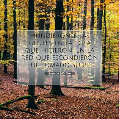 Picture 07 - Salmos 9:15 RVA - Hundiéronse las gentes en la fosa que hicieron; - Bible Verse Picture