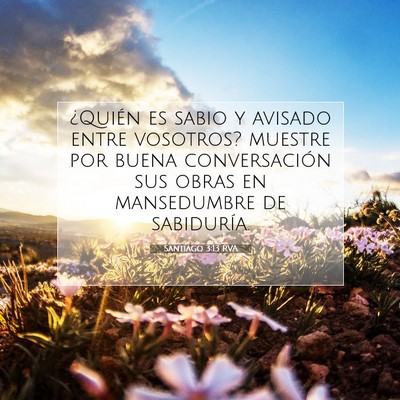 Picture 07 - Santiago 3:13 RVA - ¿Quién es sabio y avisado entre vosotros? - Bible Verse Picture