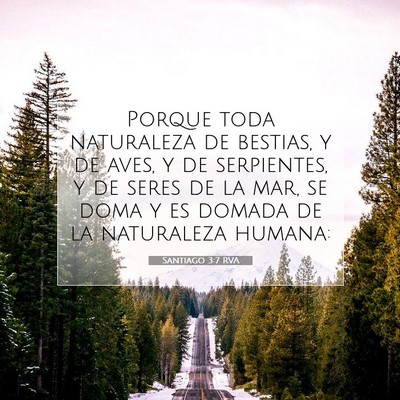 Picture 07 - Santiago 3:7 RVA - Porque toda naturaleza de bestias, y de aves, y - Bible Verse Picture
