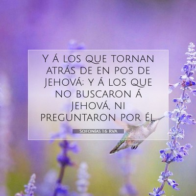 Picture 07 - Sofonías 1:6 RVA - Y á los que tornan atrás de en pos de Jehová; - Bible Verse Picture