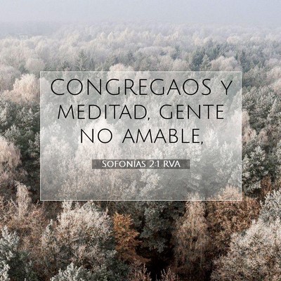 Picture 07 - Sofonías 2:1 RVA - CONGREGAOS y meditad, gente no - Bible Verse Picture