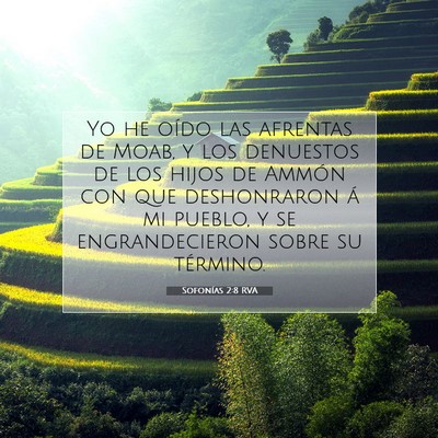 Picture 07 - Sofonías 2:8 RVA - Yo he oído las afrentas de Moab, y los denuestos - Bible Verse Picture